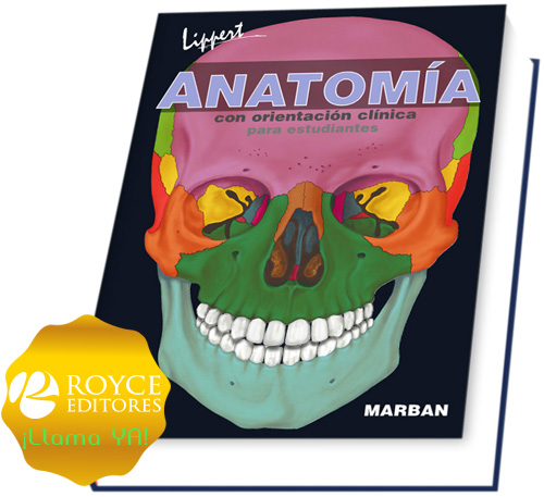 anatomia_orientacion_clinica