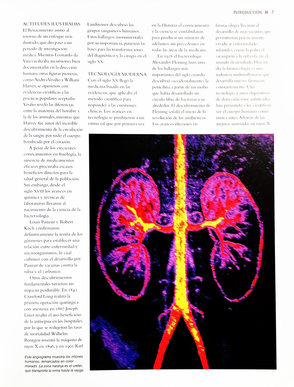Cómo Funciona El Cuerpo Humano: Fisiología