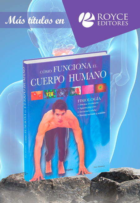 Cómo Funciona El Cuerpo Humano: Fisiología