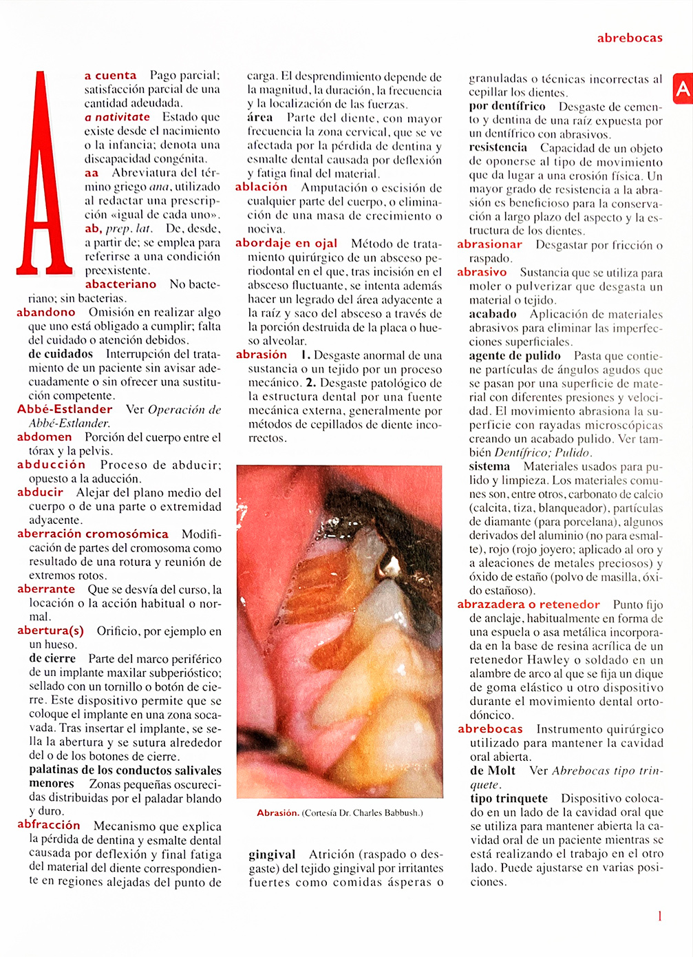 Diccionario de Odontología Mosby