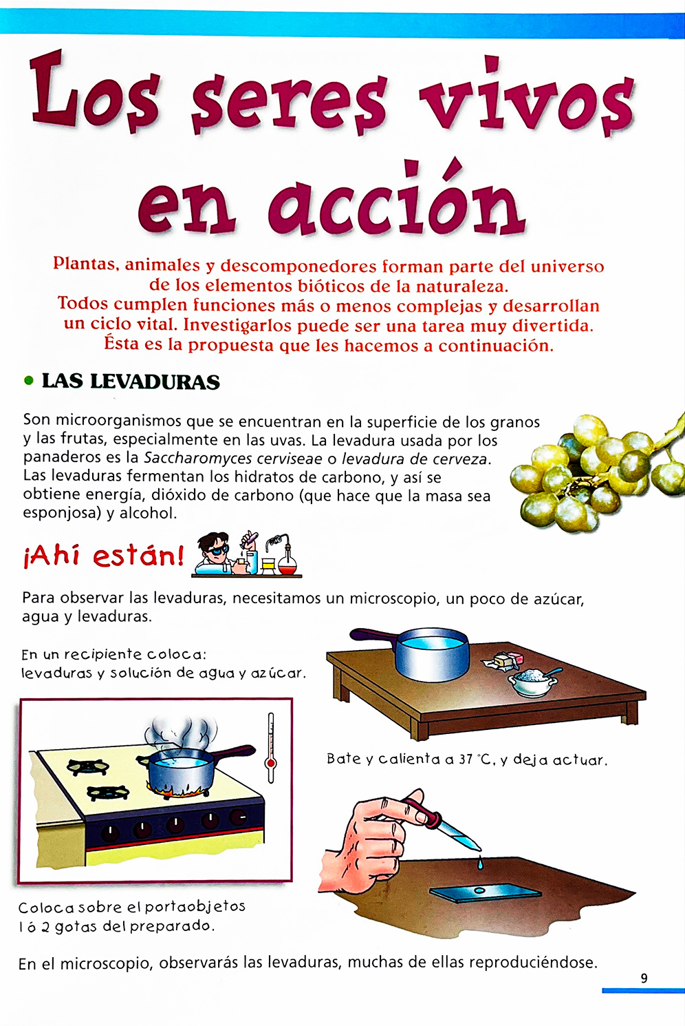 Jugando Con La Ciencia 2 Vols con CD-ROM