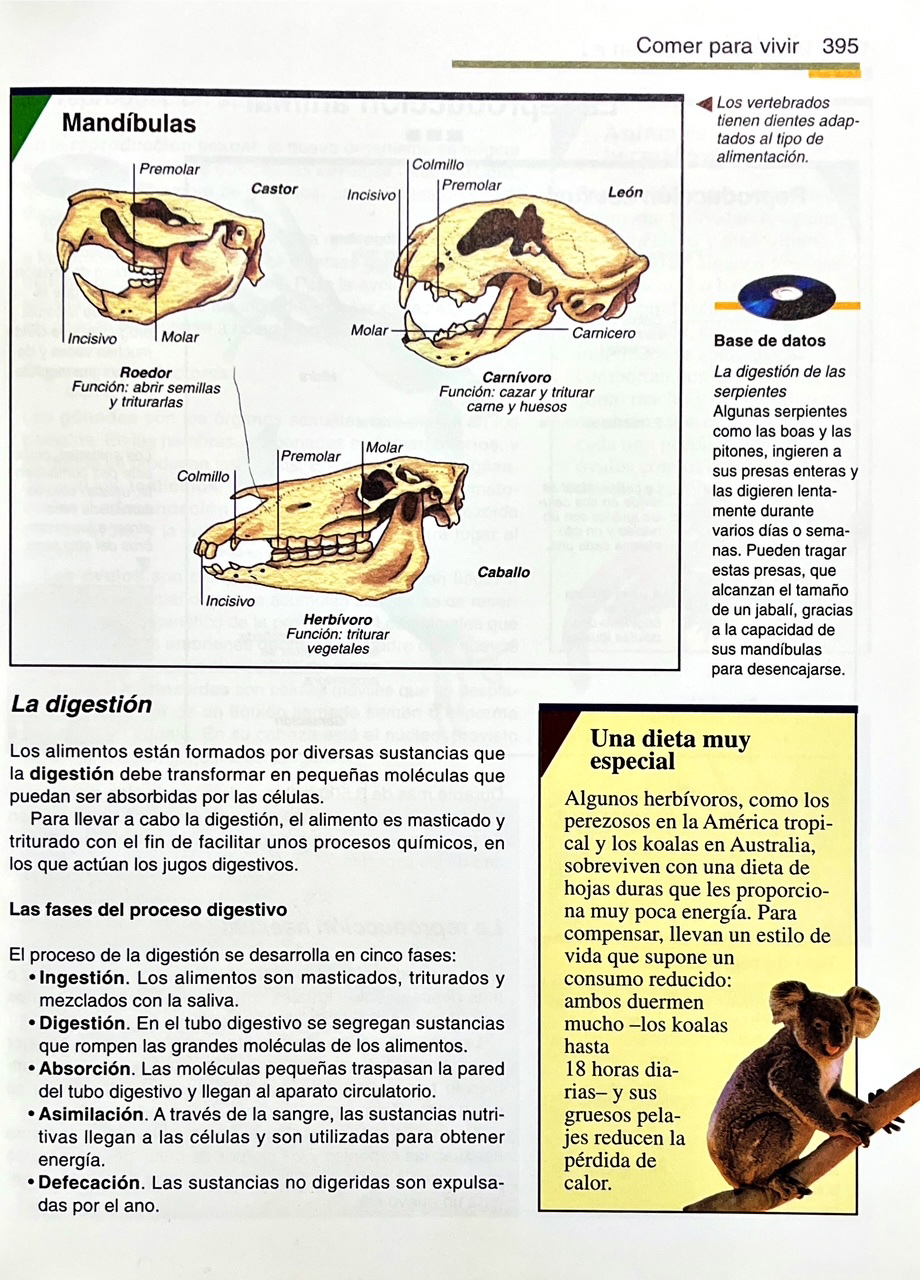 Primaria Activa Plus 6 Vols con 2 CD-ROMs y 2 CDs Audio