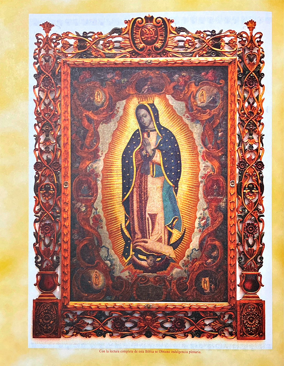 Sagrada Biblia. Edición Católica para la Familia Latinoamericana
