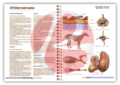 Compra en línea Atlas Temáticos Ciencias Naturales 5 Vols Atlas Temáticos Ciencias Naturales 5 Vols
