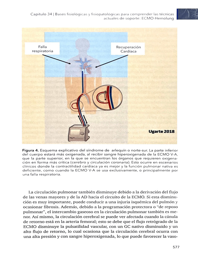 El Libro Azul. Bases Fisiopatológicas de la Medicina Crítica