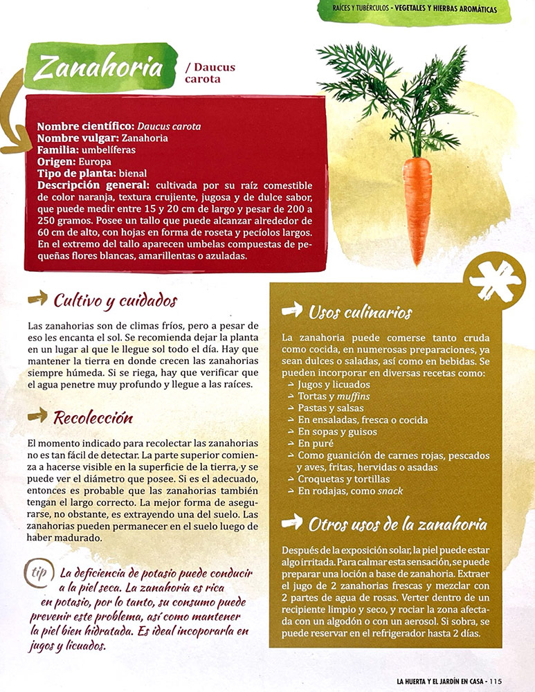 La Huerta y el Jardín en Casa