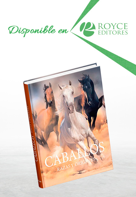 Caballos, Razas y Orígenes
