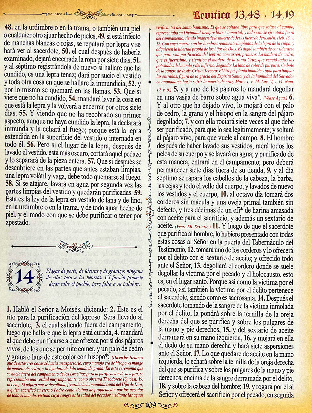 Sagrada Biblia Dorada -Gran Formato- con CD-ROM