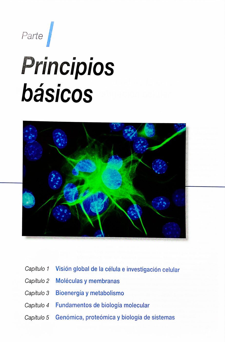 La Célula 7a Edición