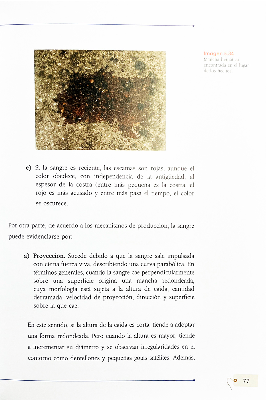 Medicina Forense Actual