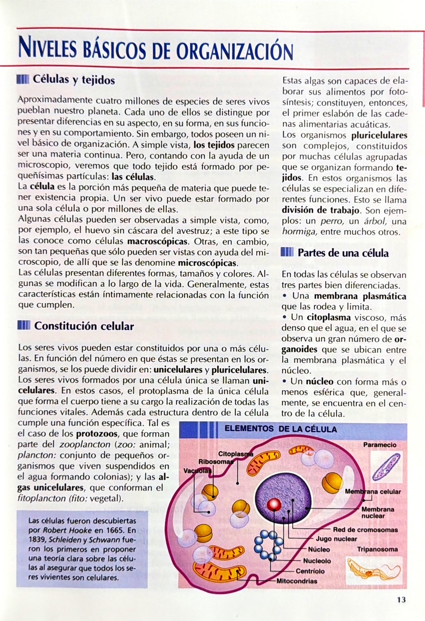 Enciclopedia Temática Ilustrada Siglo XXI 2 Vols