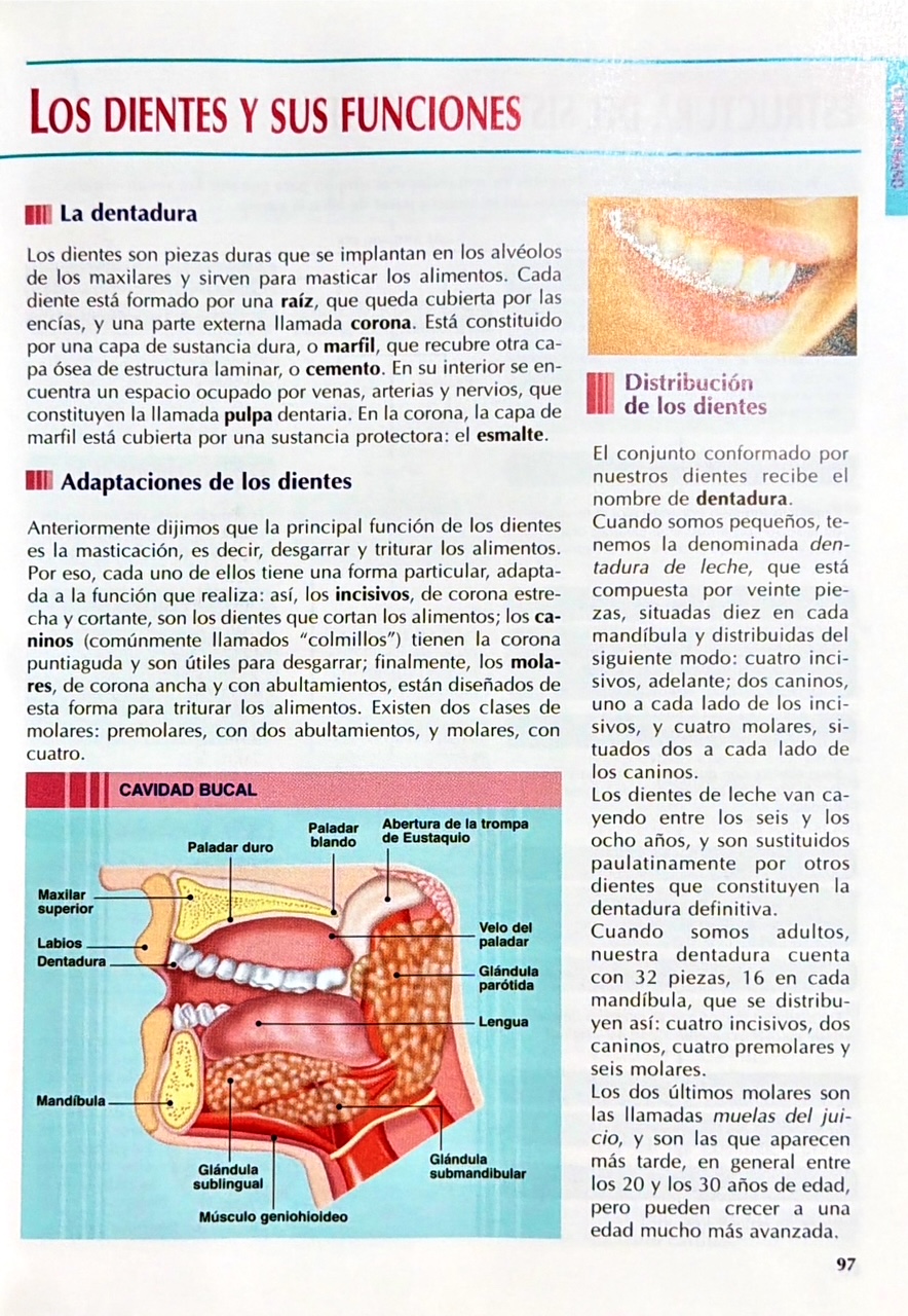 Enciclopedia Temática Ilustrada Siglo XXI 2 Vols
