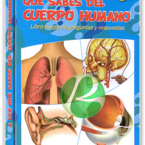 A ver qué sabes del Cuerpo Humano