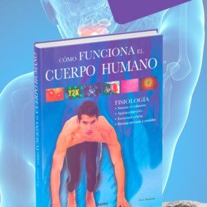 Cómo Funciona El Cuerpo Humano: Fisiología