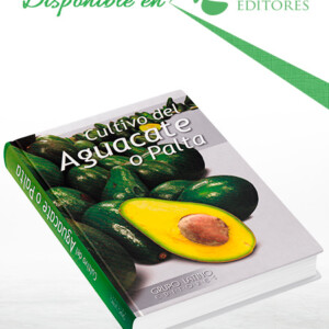 Cultivo del Aguacate o Palta