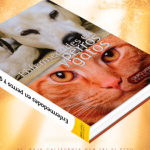 Enfermedades en Perros y Gatos