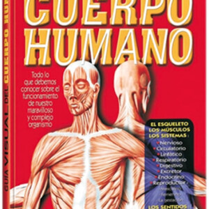 Guía Visual del Cuerpo Humano