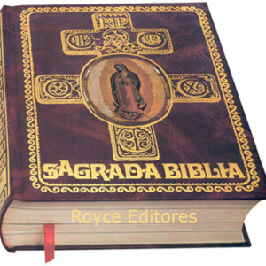 Sagrada Biblia Guadalupana