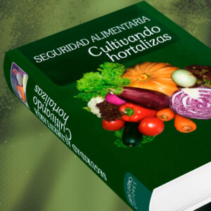 Seguridad Alimentaria Cultivando Hortalizas