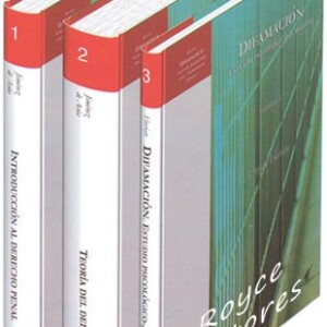 Serie Grandes Temas Básicos del Derecho Penal 3 Vols