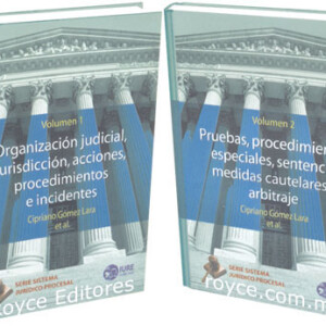 Serie Sistema Jurídico Procesal 2 Vols