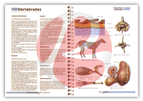 Atlas Temáticos Ciencias Naturales 5 Vols