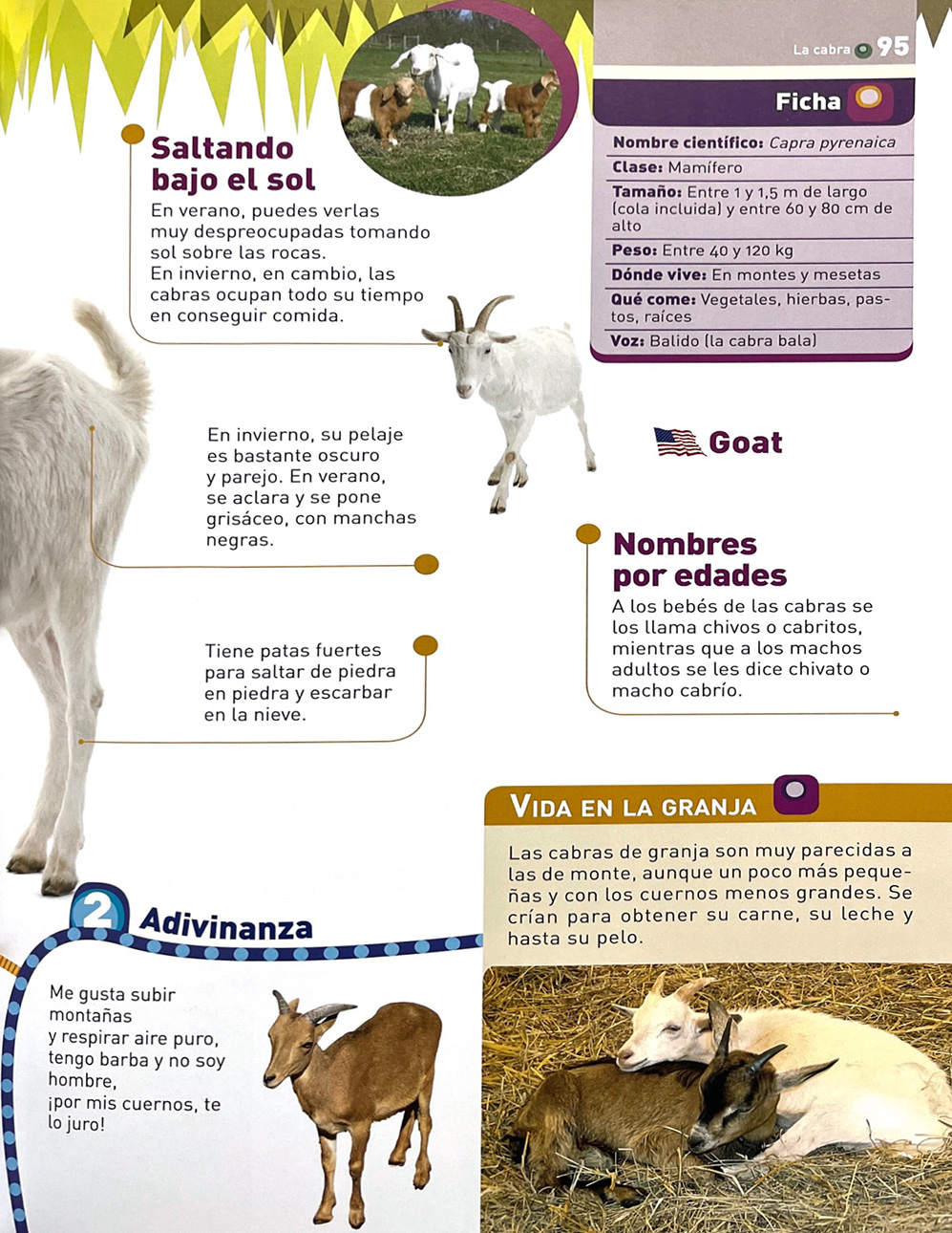 Gigante Ilustrado Animales