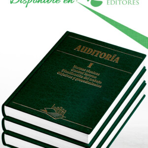 Auditoría 3 Vols