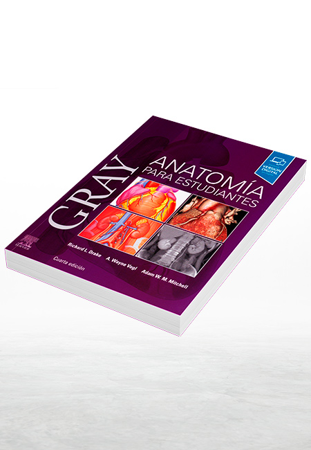 Gray Anatomía Para Estudiantes 4a Edición Libros Mx Gray Anatomía Para Estudiantes 4a Edición Libros Mx