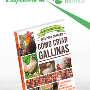 Guía para Conocer Cómo Criar Gallinas