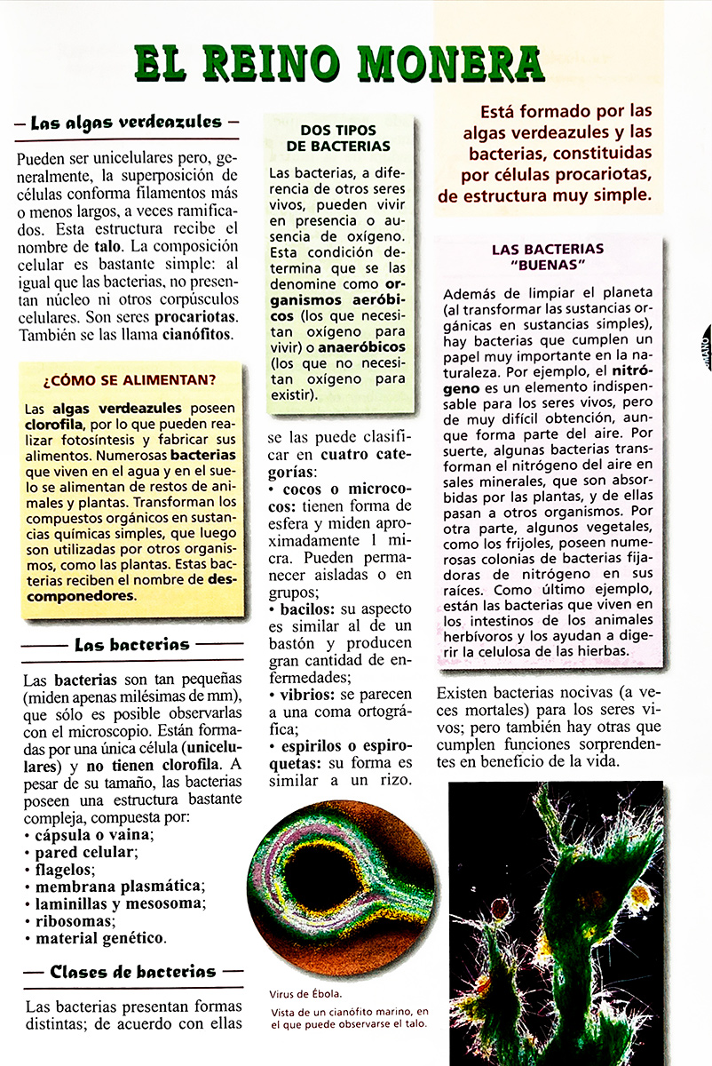 Enciclopedia Conceptual Manual Temática Ilustrada - Libros MX