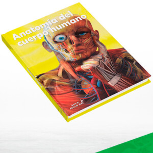 Anatomía del Cuerpo Humano
